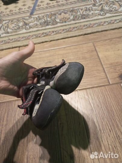 Скальники детские