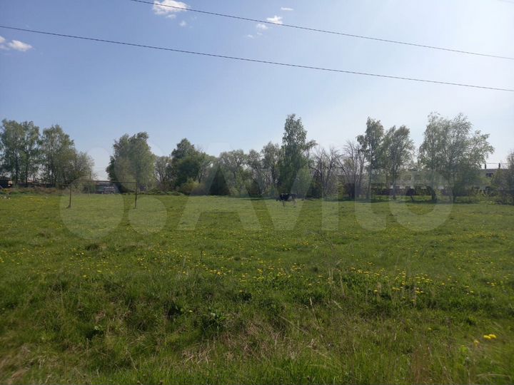 Участок 50 сот. (ИЖС)