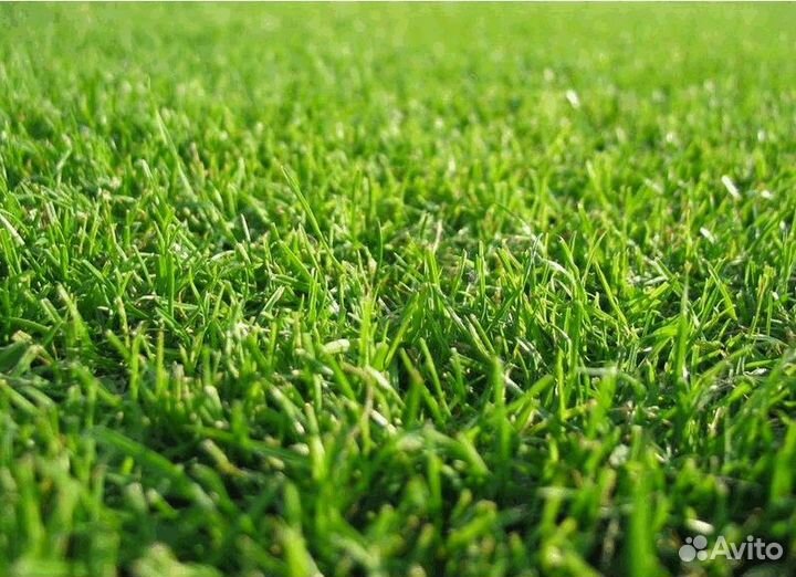 Искусственная трава wuxi