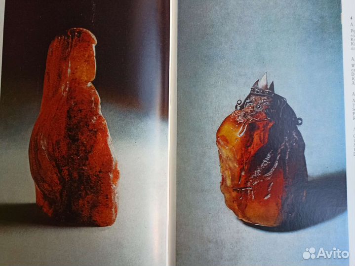 Янтаря открытый свет. Книга с фото. 1983 год