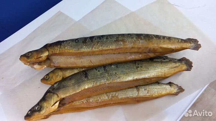 Рыба Сибири