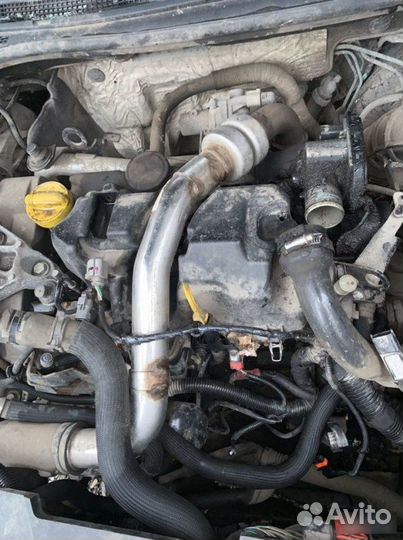 Двигатель Renault Laguna 3 хэтчбек 1.5 K9K732 2010