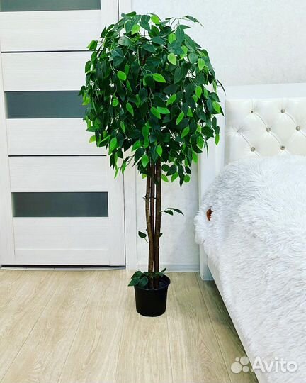 Искусственное дерево, фикус