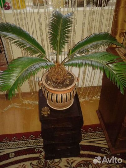 Тумба, Подставка, дерево,Индонезия