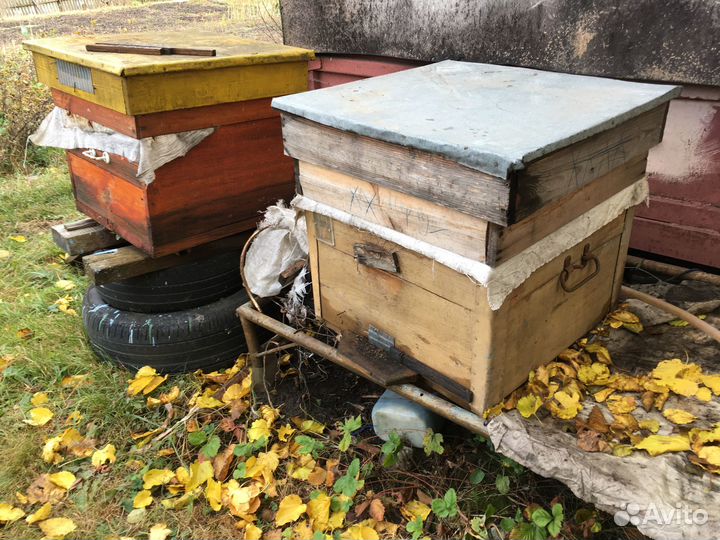 Ульи для пчел