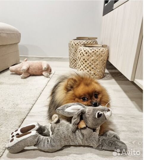 Вердера.Чашка+блюдце.360 мл.Новые.Оригин.Икеа