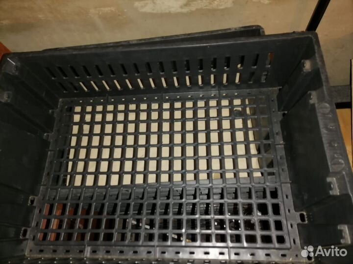 Продаются пластиковые ящики из под продуктов бу