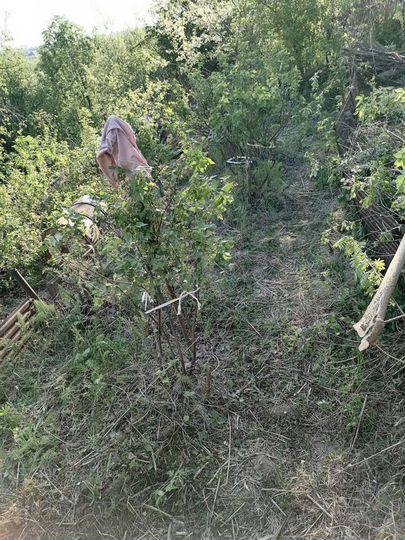 Участок 5,4 сот. (СНТ, ДНП)