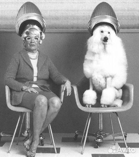 Груминг/стрижка собак и кошек