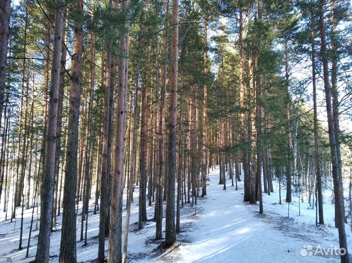 Загородные туры по экомаршрутам СПб и Ленобласти