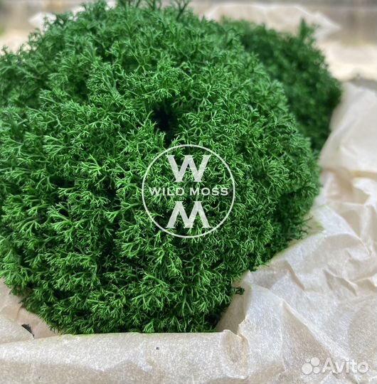 Стабилизированный мох экологичный
