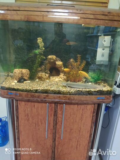 Аквариум с тумбой
