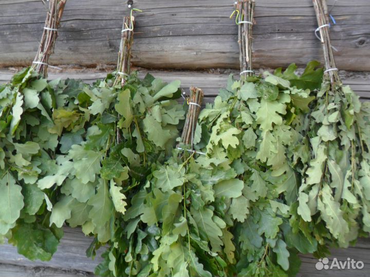 Веники для бани