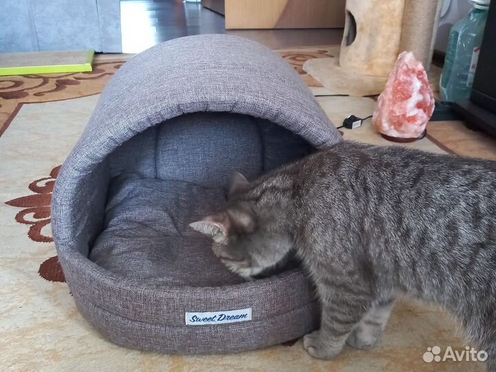 Домик для кошки