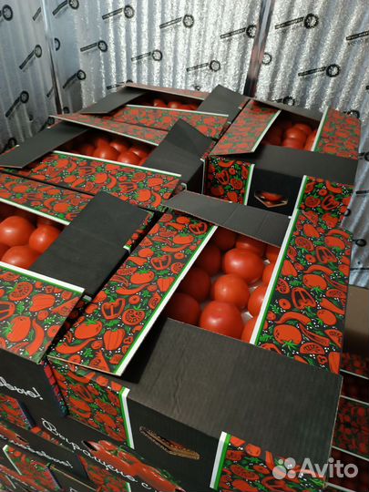 Помидоры томат