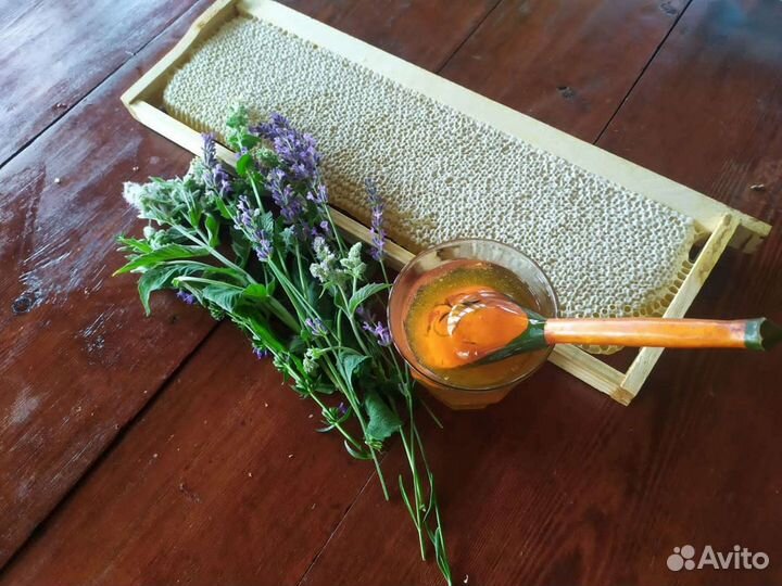 Мед свежий своя пасека