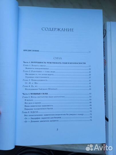 Рызов,лидерыедятпоследнимисинек,Кузес Познер