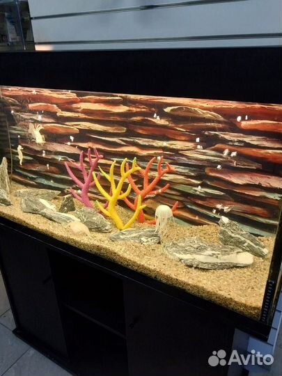 Чистка и обслуживание аквариумов