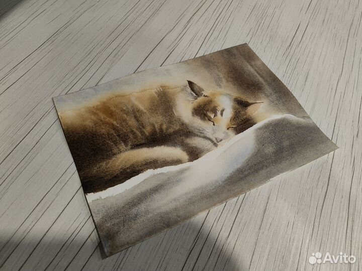 Акварель картина кот