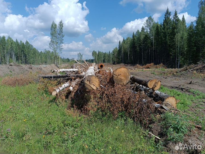 Продам лес хвойных и лиственных пород