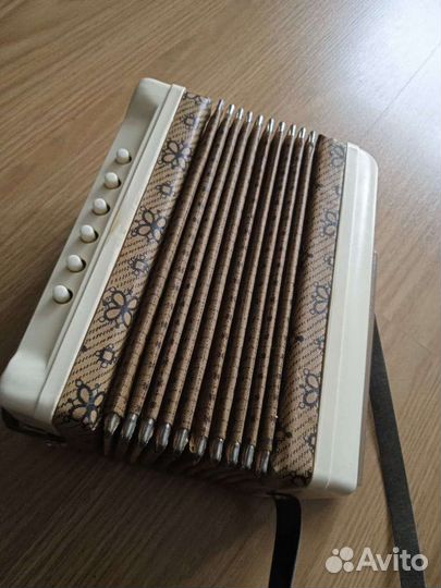Гармонь детская