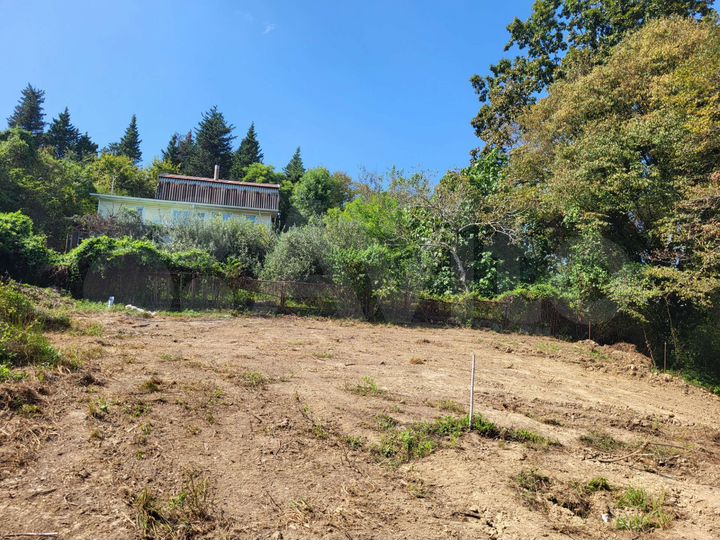 Участок 8 сот. (СНТ, ДНП)