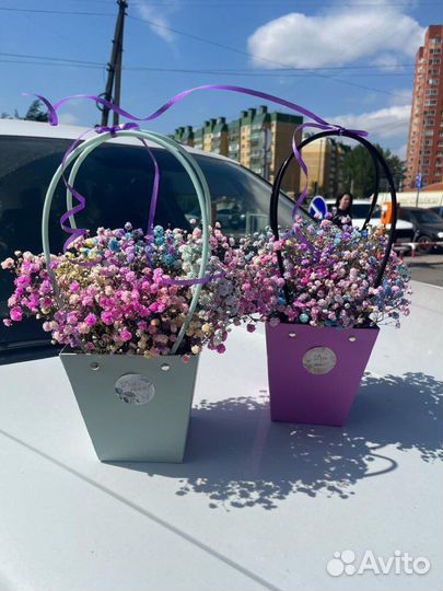 Гипсофила в корзине