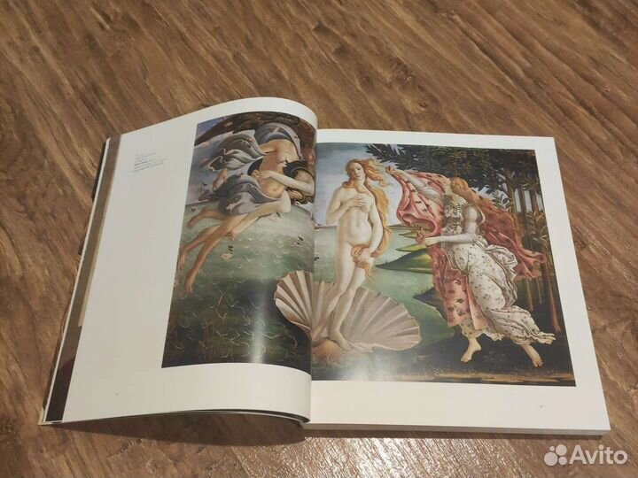 Книга The Botticelli