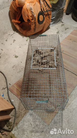 Клетка для животных бу