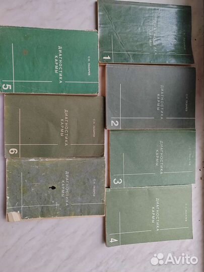 Диагностика кармы. Человек будущего