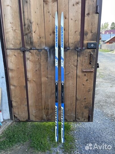 Беговые лыжи