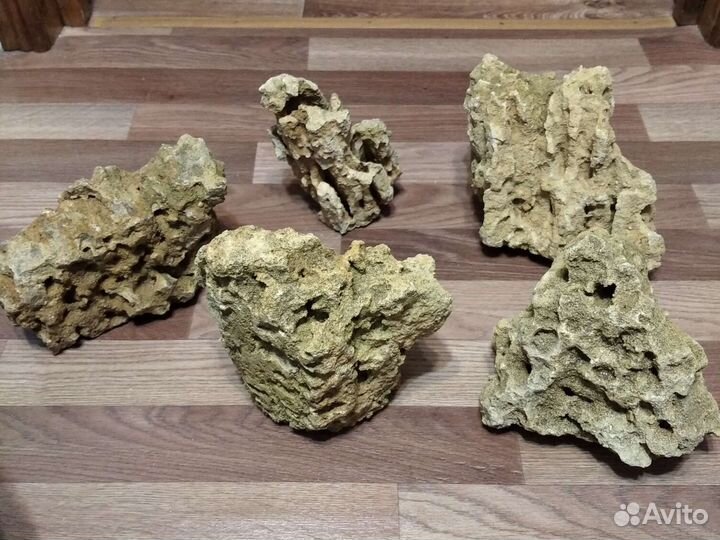 Крымский песчаник для аквариума, камни, ракушки