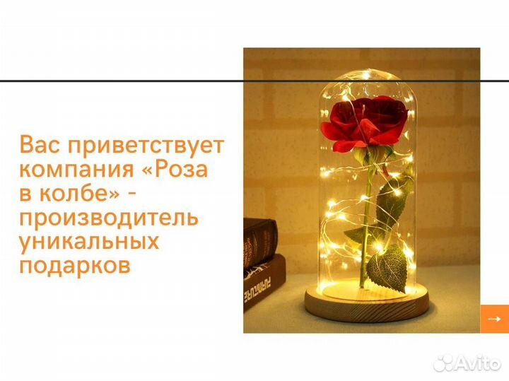 Роза в колбе. Живая