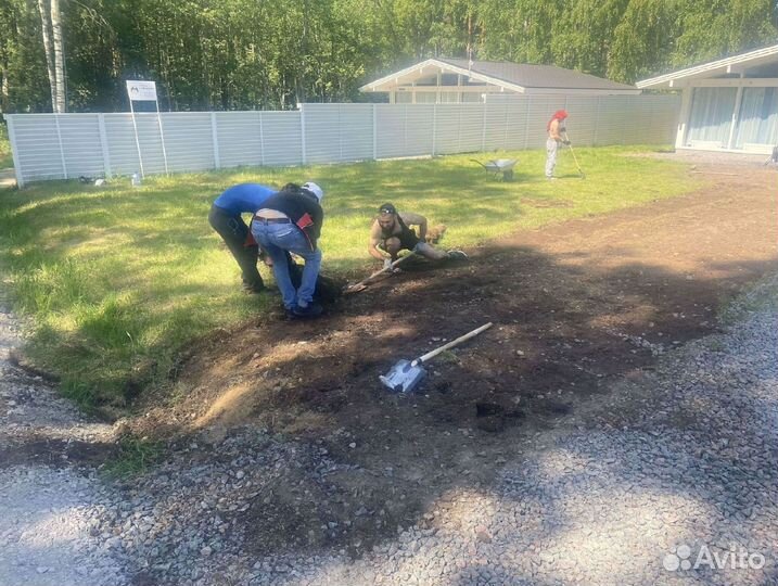 Лучший газон