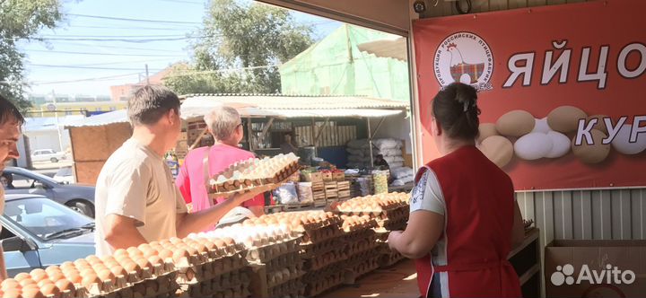 Яйцо куриное розничная продажа