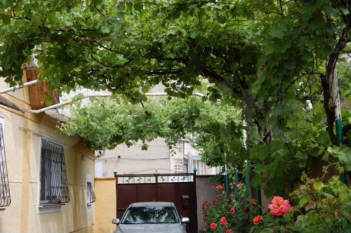 Дом 164 м² на участке 6 сот.