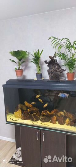 Аквариум с тумбой б/у