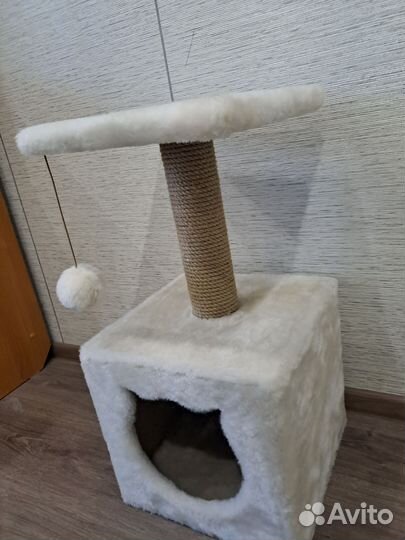 Когтеточка
