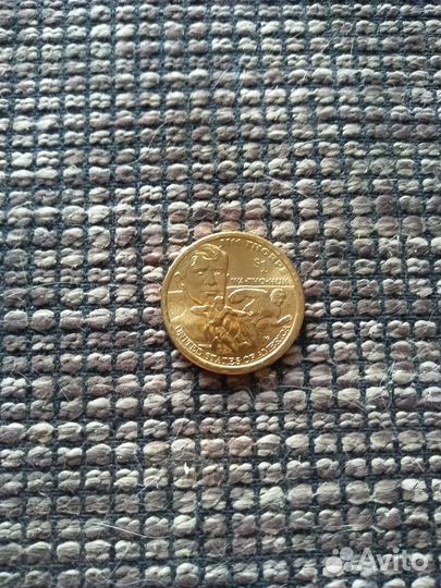 Монета(доллар)юбилейный
