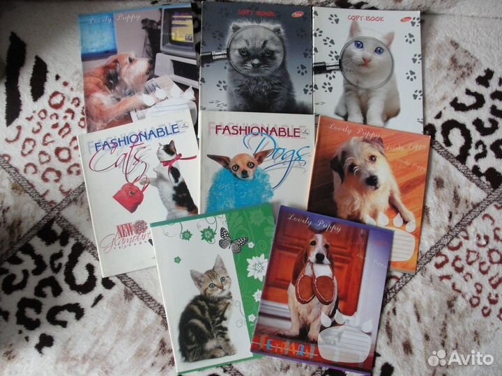 Красивые тетради и школьные дневники