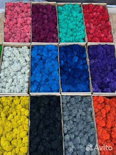 Стабилизированный мох 16 оттенков