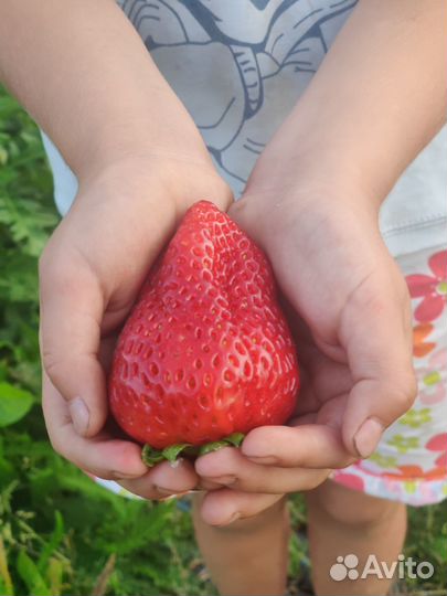 Разнорабочие оплата ежедневная