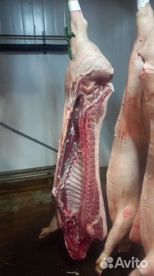 Свинина второй категории