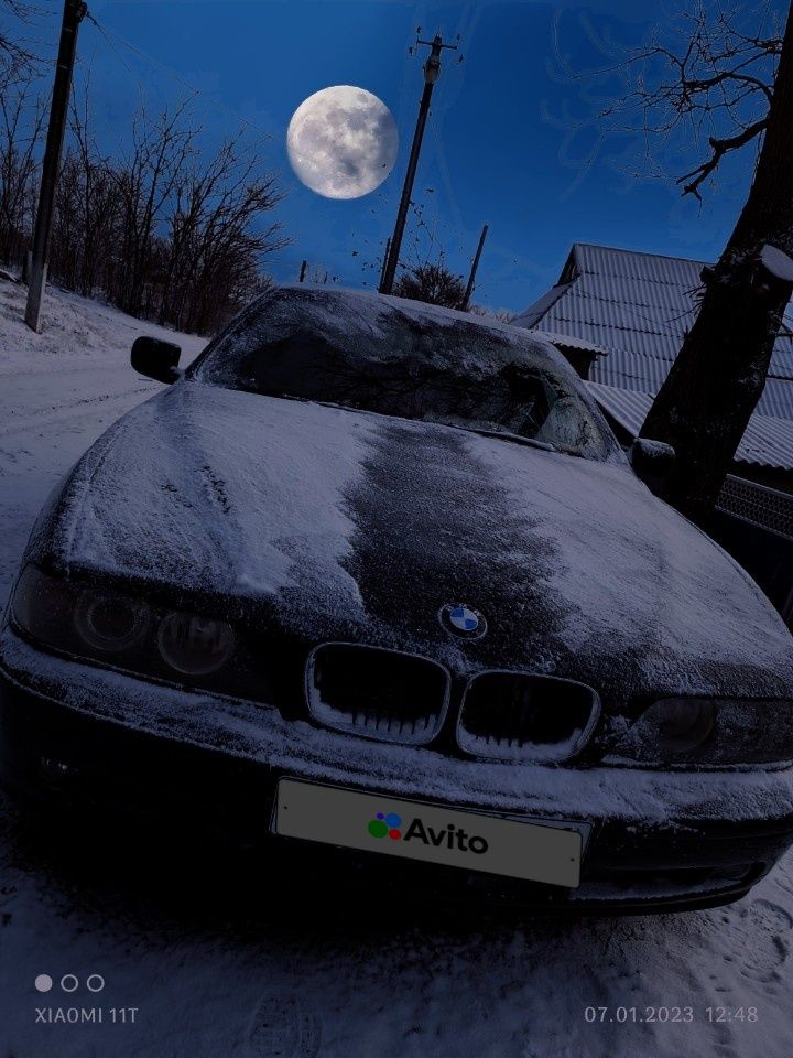 BMW 5 серия: фото владельца
