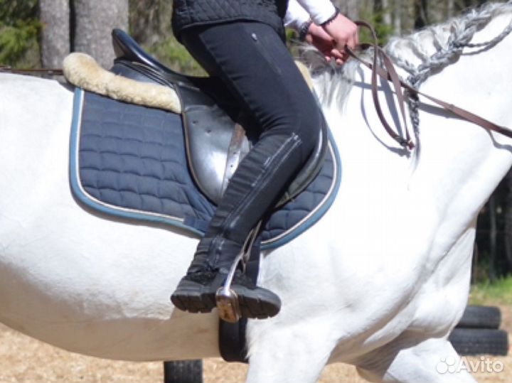 Краги для верховой езды