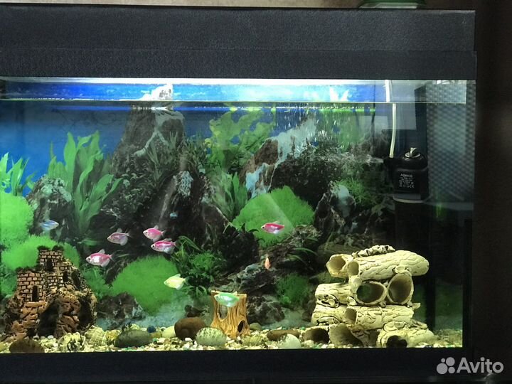 Аквариум
