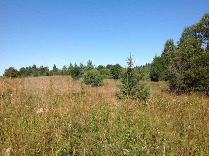 Участок 12,5 сот. (ИЖС)