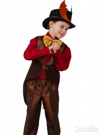 Костюм жука