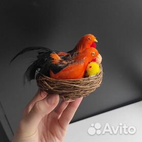Ответы albatrostag.ru: А как птицы сексом занимаются? Ну вот голуби, например?