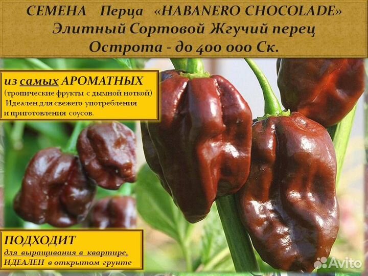 Семена Жгучего Сортового элитного перца